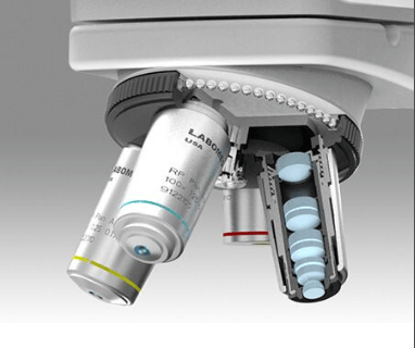 VERTICAL LX 300 MICROSCOPIO - Imagen 2