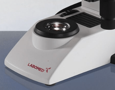 VERTICAL LX 300 MICROSCOPIO - Imagen 3